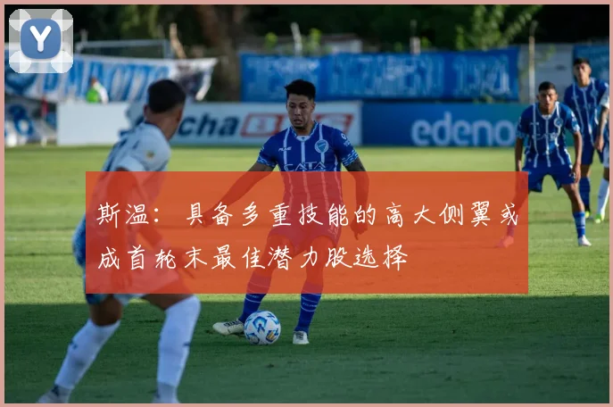 斯温：具备多重技能的高大侧翼或成首轮末最佳潜力股选择