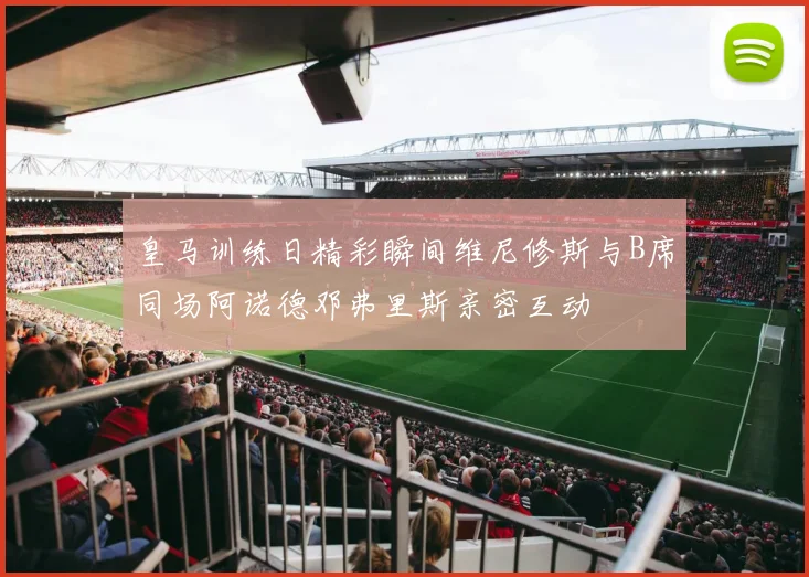 皇马训练日精彩瞬间维尼修斯与B席同场阿诺德邓弗里斯亲密互动